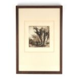 Property of a deceased estate - Sir Frank Brangwyn (1867-1956) - POLLARDED TREES - etching, 7.2 by