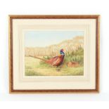 Property of a deceased estate - C. Luckett (late 20th century) - A BRACE OF PHEASANTS IN LANDSCAPE -