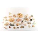 Property of a gentleman - a quantity of assorted mineral specimens & seashells, etc. (a lot).