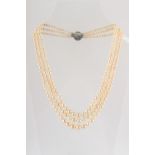 A certificated natural saltwater pearl three row necklace, the 261 cream coloured pearls ranging