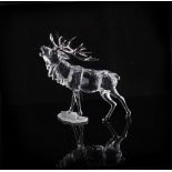 Property of a deceased estate - a Swarovski crystal model of a Stag - Rare Encounters, number A7608,