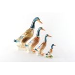 Property of a deceased estate - a graduated set of three Beswick ducks, model numbers 902, 756-1 and
