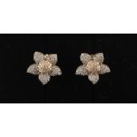 Property of a deceased estate - a 14ct white & yellow gold diamond flowerhead cluster earrings, with