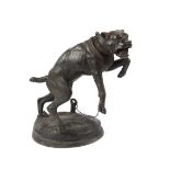 Property of a deceased estate - a large bronze model of a chained pit bull terrier, signed '