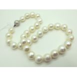 A Large Modern Single Strand Pearl Bead Necklace, of uniform design, knotted to satin finish ball