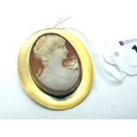 A 9ct Gold Oval Shell Carved Cameo Brooch, depicting female profile, oval collet set.