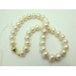 A Large Modern Single Strand Pearl Bead Necklace, of uniform design, knotted to ball clasp (