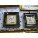 A Pair of XIX Century Botanical Watercolours of a Geranium Striatum and an Iris, framed ,