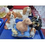 Beswick Spaniel Dogs, Welsh dog and Teddy in cushion, two others.