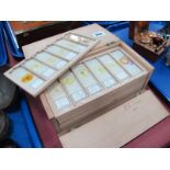 Doctors Medical Microscope Glass Slides, circa early XX Century, trays of six, specimens include '