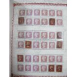 A Collection of GB Queen Victoria Penny Red Stamps, mixed condition, some Fine, fifty-five items.