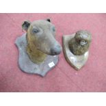 Taxidermy - Dog's Head mounted on oak shield 27cm high bearing label T.E Gunn, Norwich, another of