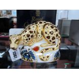 Royal Crown Derby Paperweight 'Savannah Leopard' from The Endangered Species series for Sinclairs,