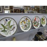 Twelve 'The National Audubon Society Songbirds of the World' Porcelain Plate Collection. (12)