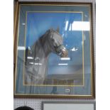 John H. Allen?, Head Study of a Grey Horse, pastel, signed and dated 1981, 66 x 50cm.