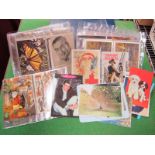 An Album and Quantity of Loose Mainly 1970's and Later Picture Postcards, to include animals, birds,