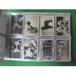 Three Albums of Cigarette Cards, to include Senior Service, John Player, Wills etc, themes