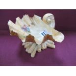 Royal Worcester Shell Shaped Dish, handpainted with foliage on a blush ivory ground, numbered 324,