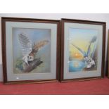 Alan Otter, Owl Studies, pair of pastel drawings, 57 x 47cm., under non-reflective glass, framed. (