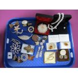 Assorted Costume Brooches, clip earrings, pendant on chain and matching brooch, imitation pearl