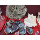 A Collection of Mineral Sections, including Blue John and amethyst, conch shell, fossilised bark:-