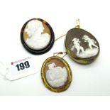 A c.Early XX Century Oval Shell Carved Cameo Brooch, depicting female profile, within