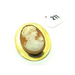 A 9ct Gold Oval Shell Carved Cameo Brooch, depicting female profile, oval collet set.