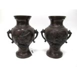 A Pair of Japanese Late XIX Century Bronze Vases, of two handled form, moulded in relief with