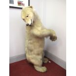 Taxidermy - A Polar Bear (Ursus Maritimus), in standing pose with open mouth, it's head turned to