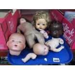 XIX Century Dolls Heads, Body Parts etc:- One Tray