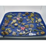 A Mixed Variety of Vintage and Later Brooches, including claw set floral, diamante birds, and