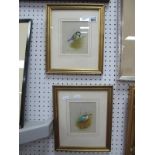 David Andrews (British XX Century) 'Baby Kingfisher' plus 'Baby Blue Tit', pair watercolours, signed