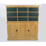 EDWARDIAN PAINTED LIBRARY CABINET