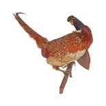 TAXIDERMY: PHEASANT MOUNTED ON A SHIELD