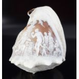 NEO-CLASSICAL CARVED CAMEO RELIEF CONCH SHELL