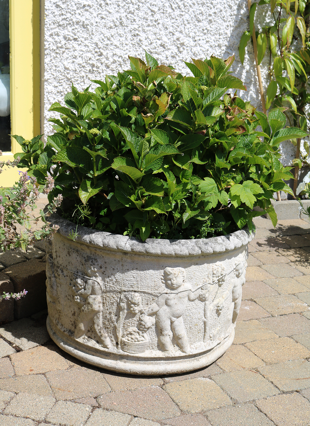 PR.NEO-CLASSICAL PLANTERS