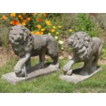 PAIR OF MOULDED STONE LIONS