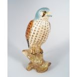 BESWICK KESTREL