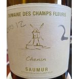 SAUMUR CHENIN BLANC - VINTAGE 2012