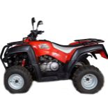 ADLY 320 QUAD BIKE