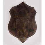 TAXIDERMY; BOAR'S HEAD TROPHY