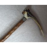 WALKING STICK