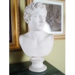 CLASSICAL PLASTER BUST