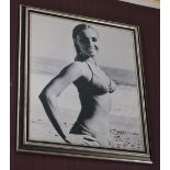 PORTRAIT PHOTOGRAPH OF BO DEREK