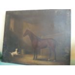 19thC Oil on canvas - Horse and Terrier in stable - S Cox 1851