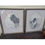 Early 20thC pencil portraits of spaniels - H W Hellings (2)