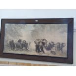 Print - Herd of Elephants - David Shepherd