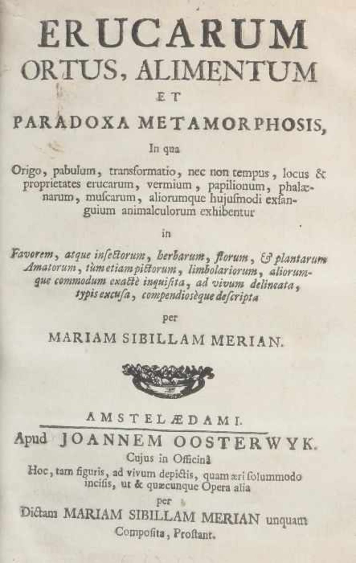 Merian, Maria Sybilla - Bild 3 aus 15