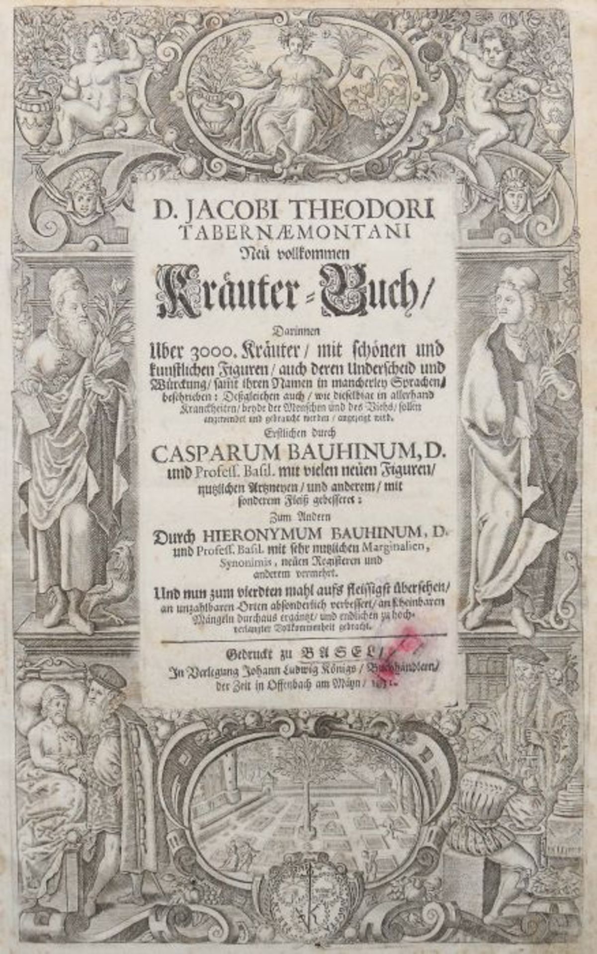 Tabernaemontanus, Jacob Theodor (Jacobus Theodorus) Neu vollkommen Kräuter-Buch, mit schönen und - Bild 3 aus 6