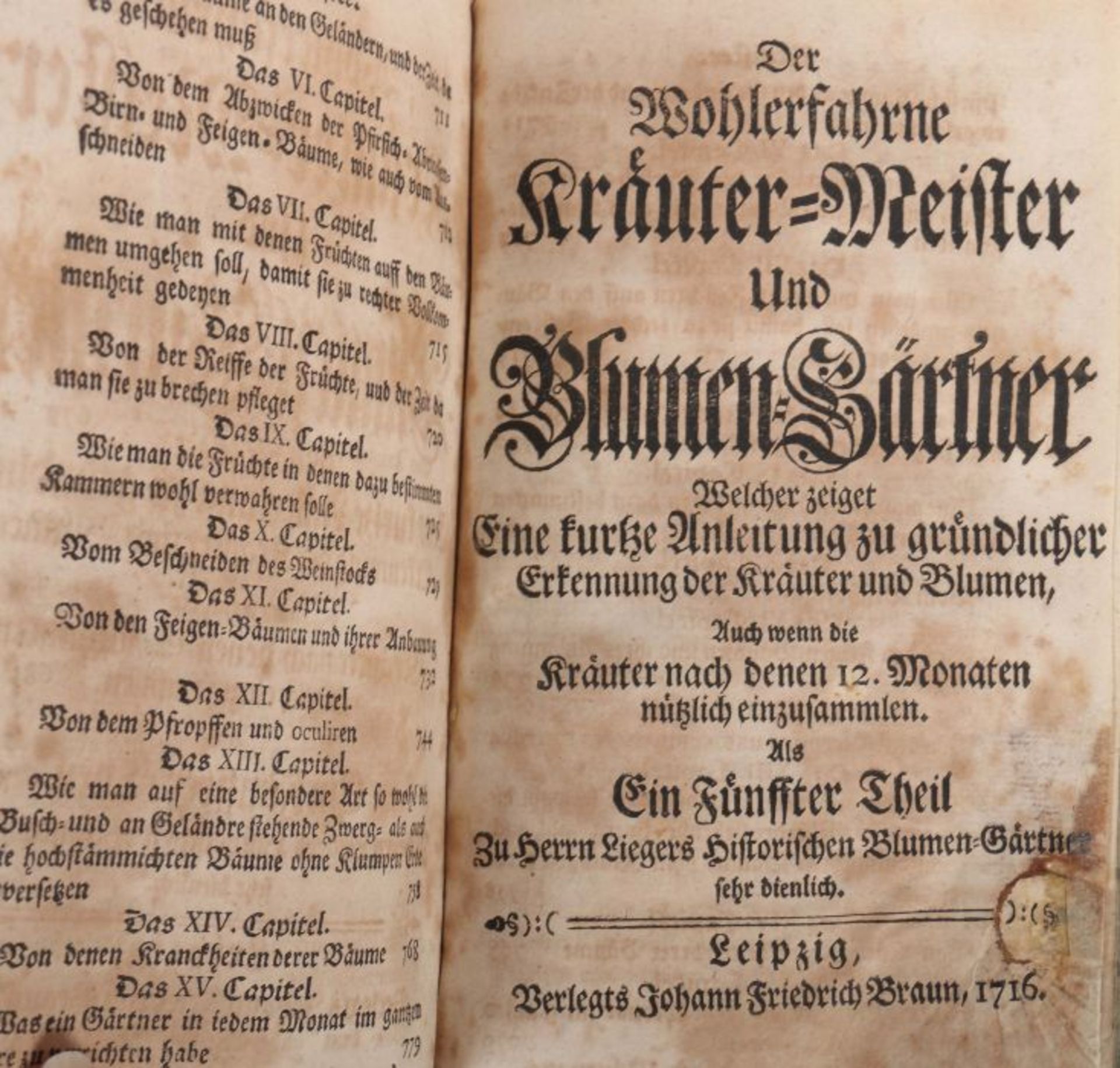 Liger, Luis Le jardinier fleuriste et historiographe - Der historische Blumen-Gärtner, Oder - Bild 6 aus 7